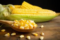 Preço do milho inicia 2023 em alta