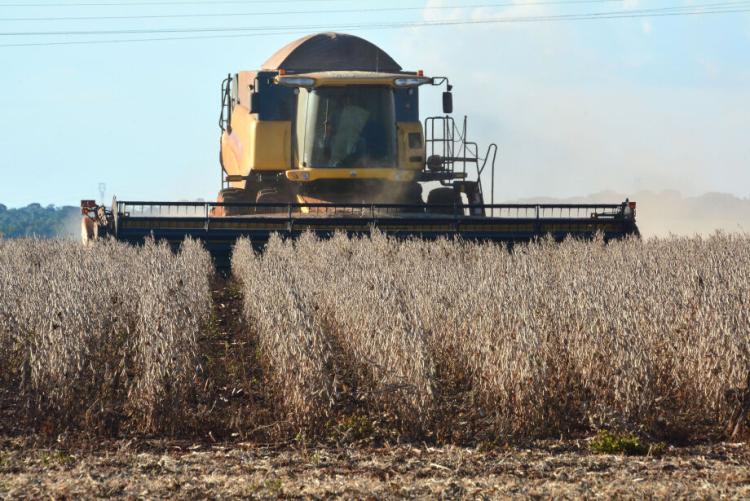 A colheita da soja atingiu 4,1 milhões de hectares, 96,4% da área - Foto: Gerson Oliveira / Correio do Estado